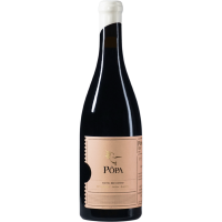 Amphora Tinto - 2018 - Popa gallery