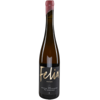 Grauburgunder Der Schmutzige - 2022 - Fe gallery