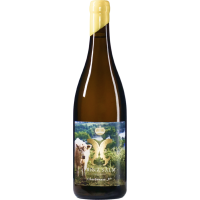 Chardonnay V - 2022 - Salm gallery