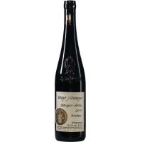 Zweigelt-Rebe Hades - 2017 - Jürgen gallery