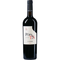 TN - 2017 - Popa gallery