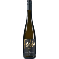 Weißburgunder - 2021 - Felix Mayer gallery