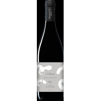 Vibrans - 2020 - Caiaffa 2