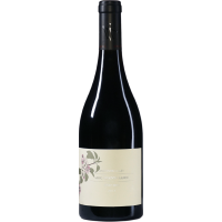 Pinot Noir Anderson Valley - 2019 - Long gallery