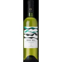 Bruma - 2023 - Dos Hemisferios gallery