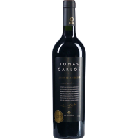 Tomás Carlos - 2019 - Dos Hemisfe gallery