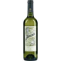 Armonia Chardonnay - 2023 - Dos Hemisfer gallery