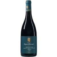 Zweigeltrebe - 2022 - Jürgen Ellwan gallery