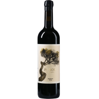 Costerduo Pinou - 2021 - Costerduo gallery