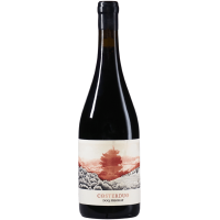 Costerduo VV - 2020 - Costerduo gallery