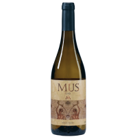 Mus Lias - 2023 - Arroyo Izquierdo gallery