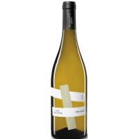 Fiano - 2024 - Caiaffa gallery