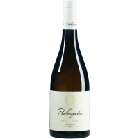 Los Pedregales - 2022 - Luzdivina Amigo