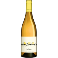 Baloiro Blanco - 2024 - Luzdivina Amigo gallery