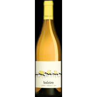 Baloiro Blanco - 2024 - Luzdivina Amigo 2