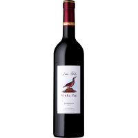 Vinha Pan - 2020 - Luís Pato