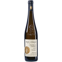 Nikodemus Candidus Hades - 2023 - J&uuml gallery