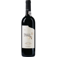 VV - 2019 - Popa gallery