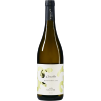 Carabus - 2024 - Caiaffa gallery