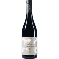 Vibrans - 2021 - Caiaffa gallery