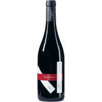 Primitivo - 2024 - Caiaffa gallery