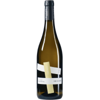 Fiano - 2025 - Caiaffa gallery
